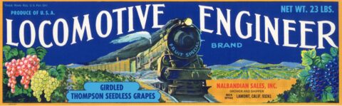 Locomotive Engineer